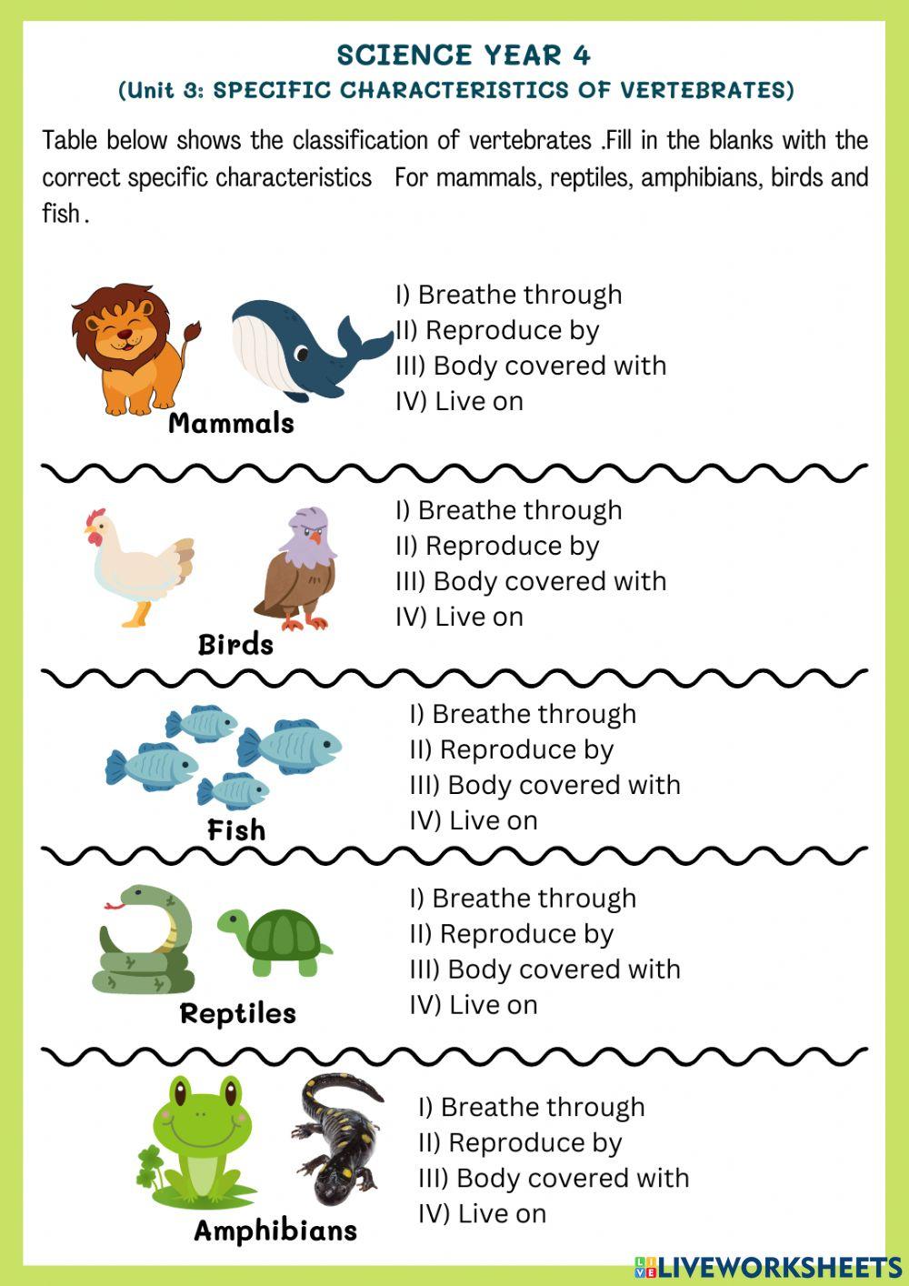 Specific Characteristics of Vertebrates