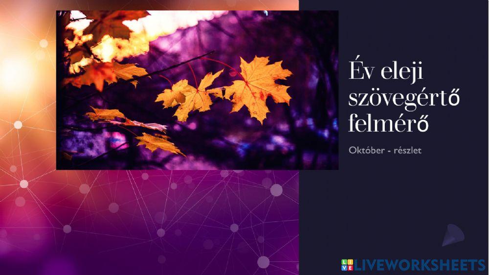 Szövegértés felmérő - év eleji