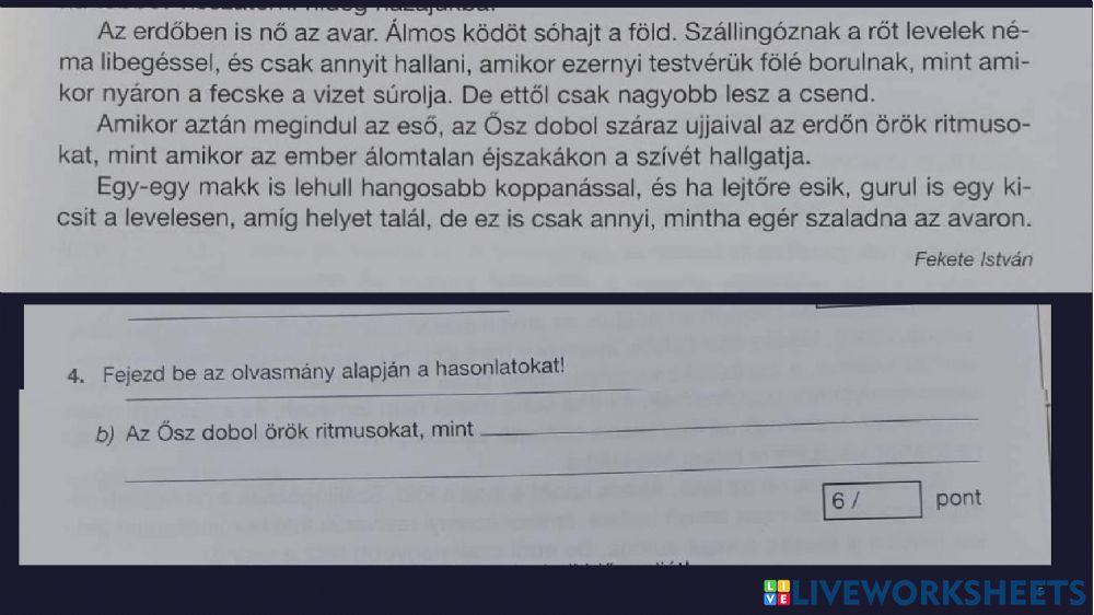 Szövegértés felmérő - év eleji