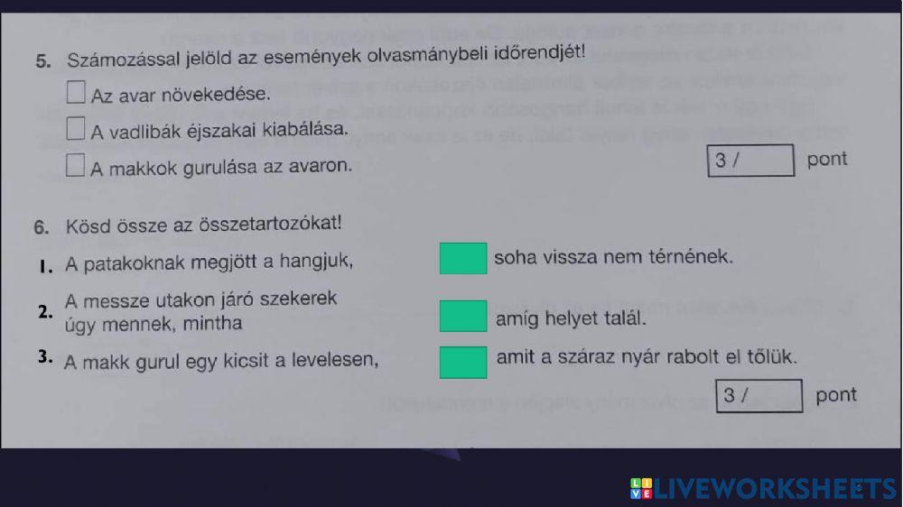 Szövegértés felmérő - év eleji