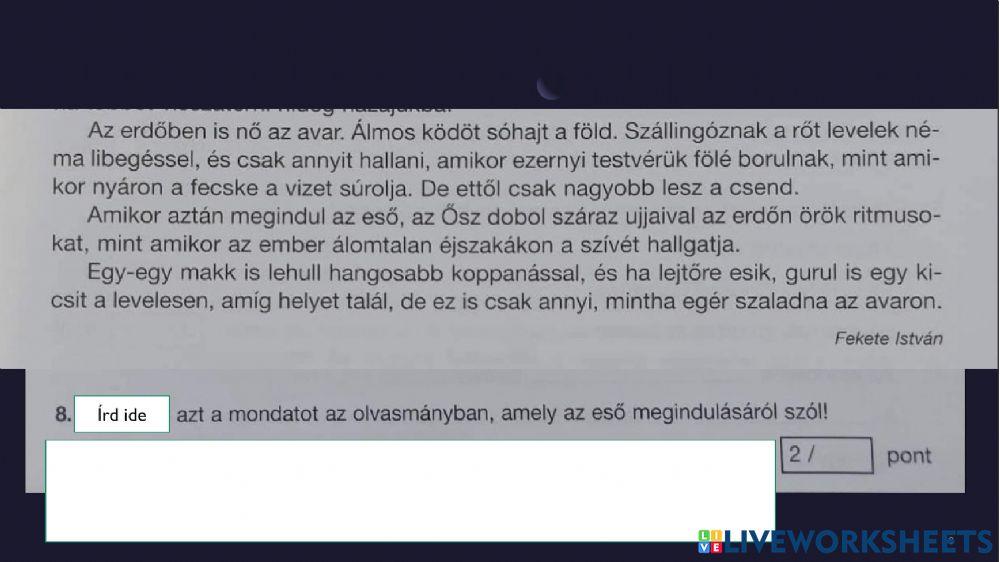 Szövegértés felmérő - év eleji