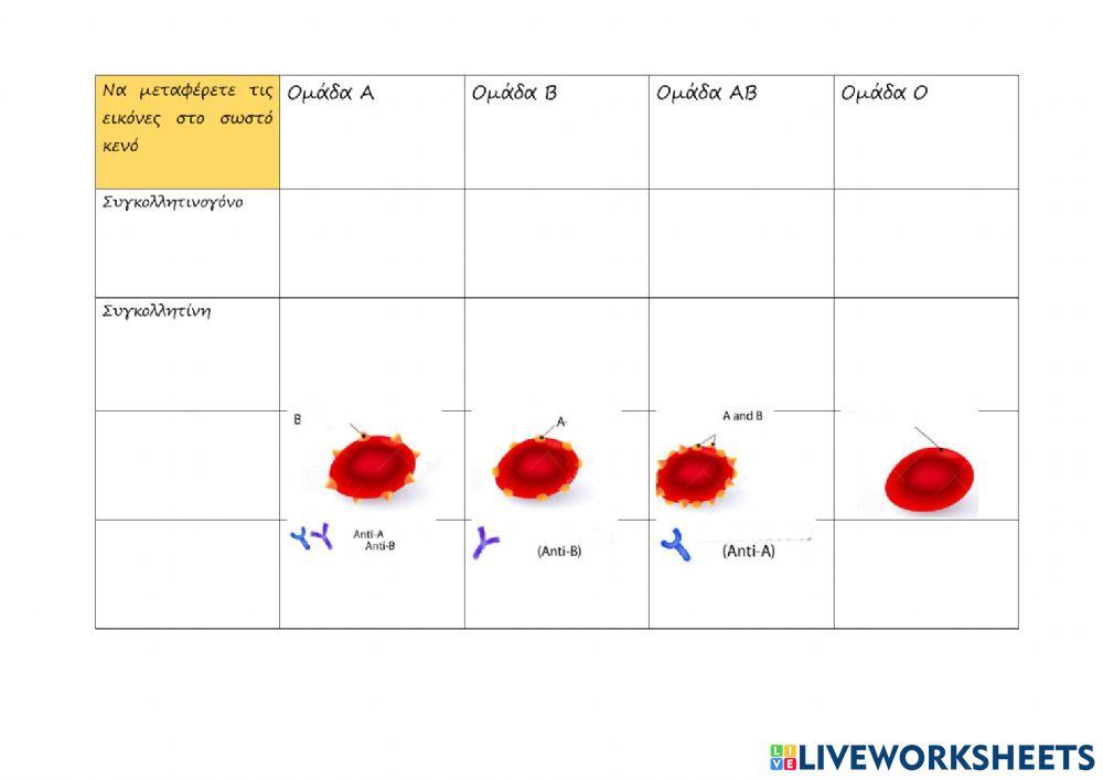 Ομάδες αίματος