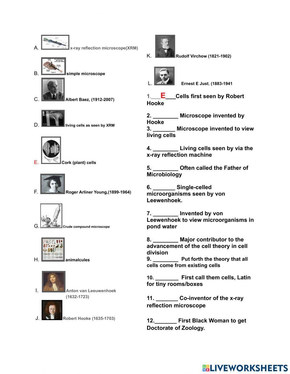 Cell Biology Titans in Cell Discovery, Inventions, and formation of The Cell Theory