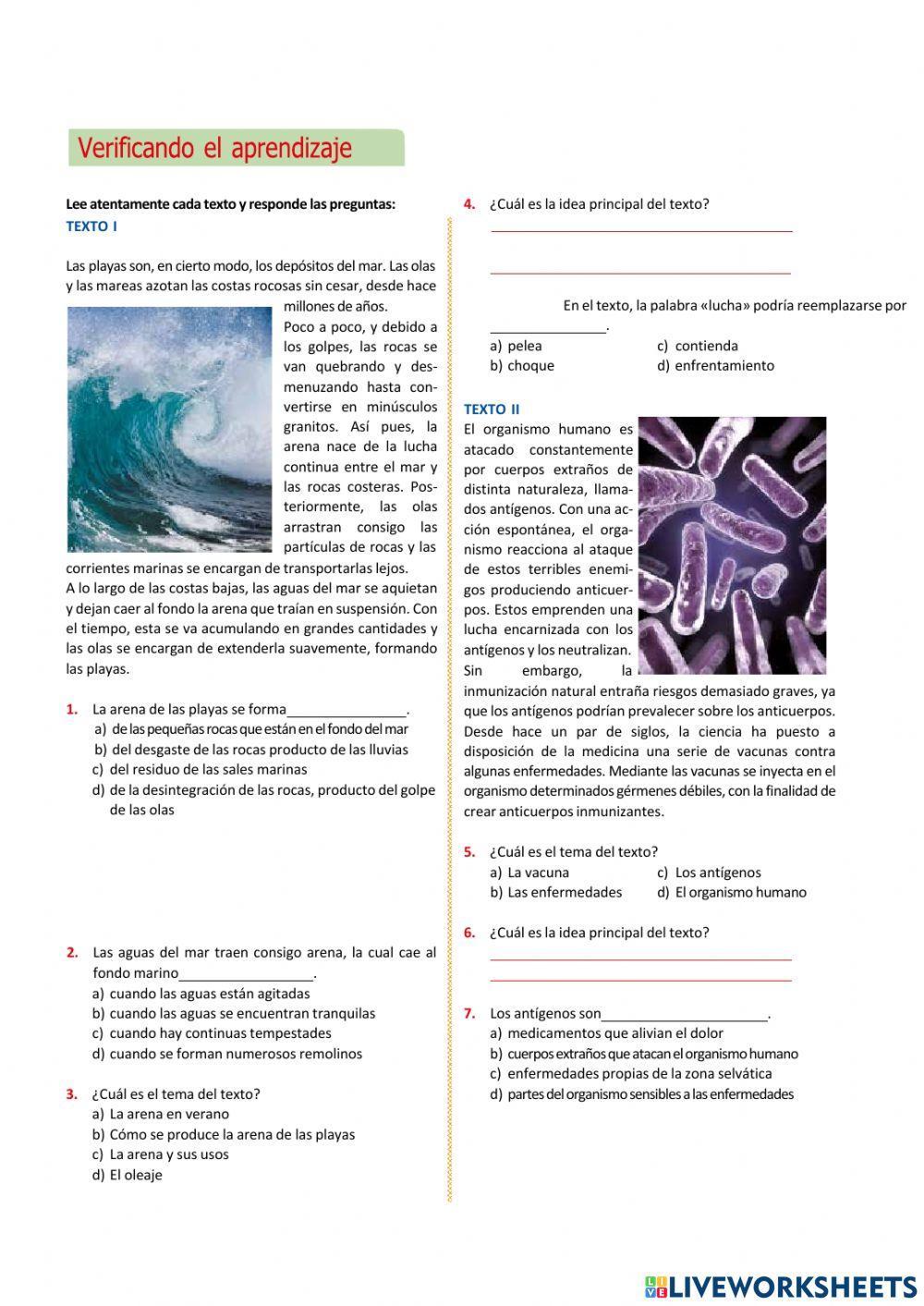 Comprensión lectora e idea principal