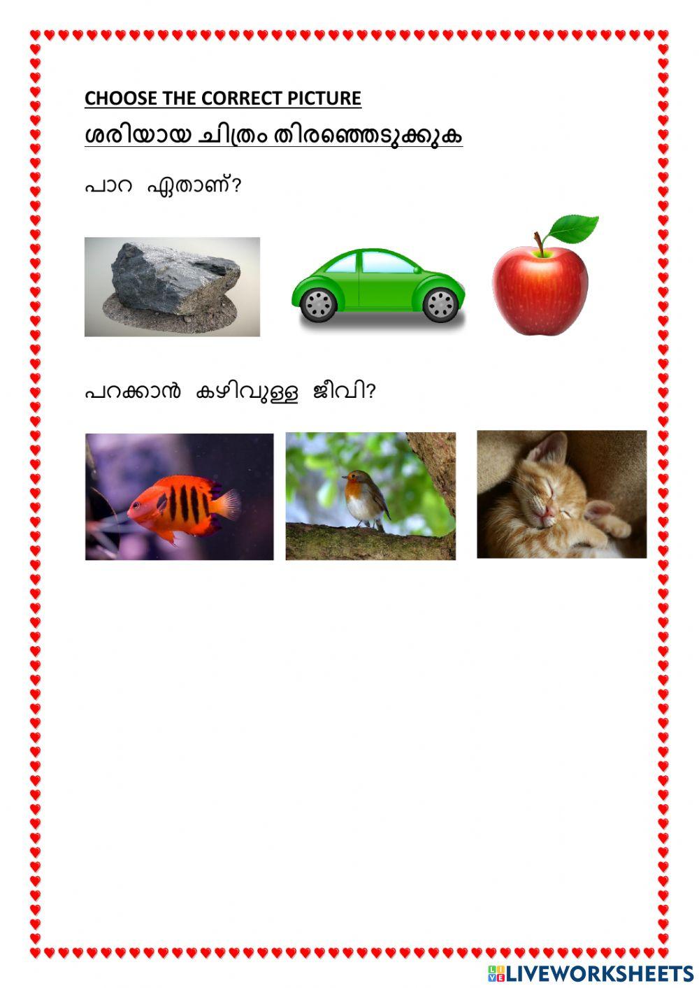 Malayalam