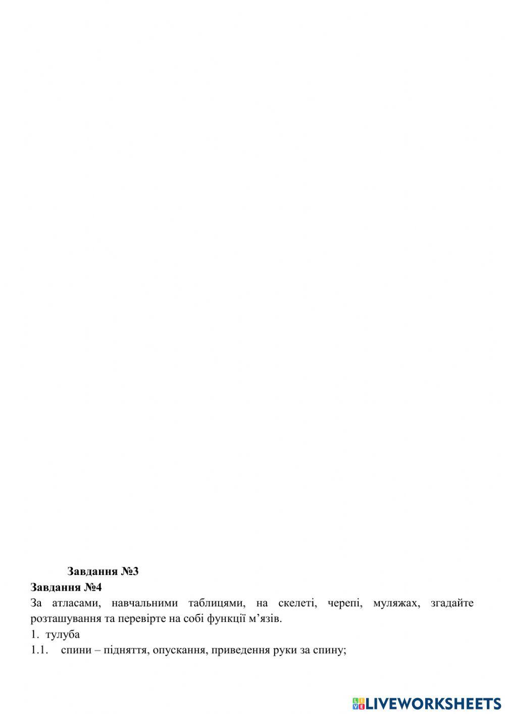 Анатомія м'язів тулуба