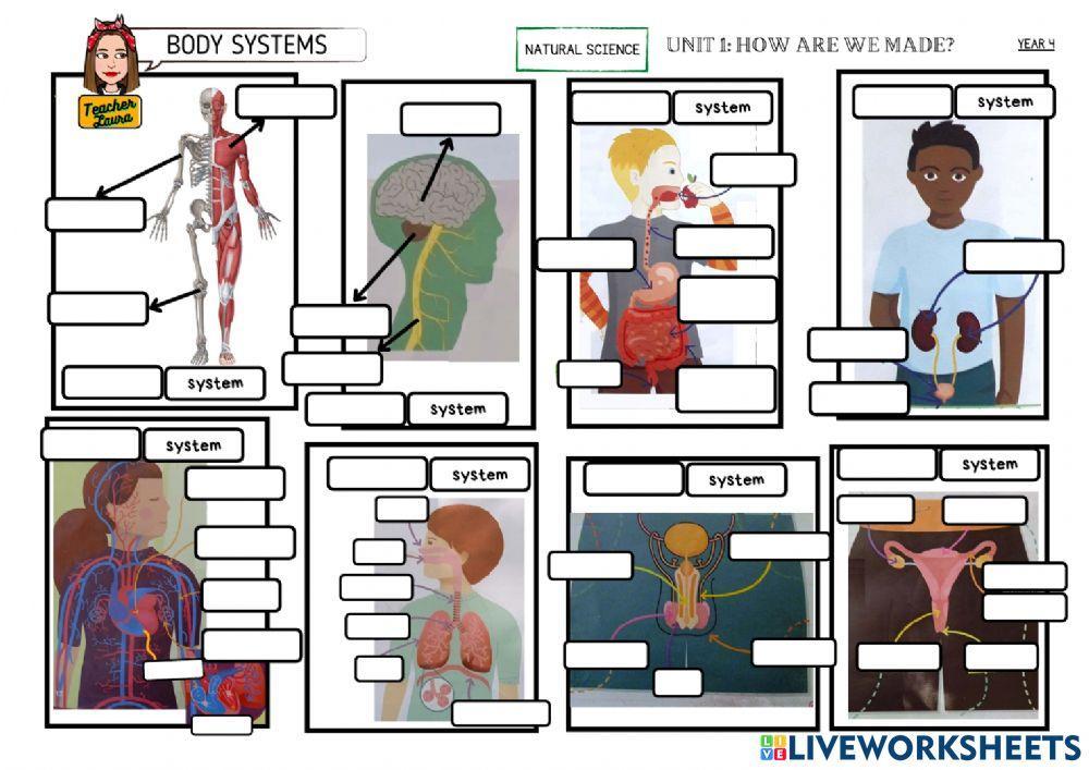 Unit 1: how are we made?