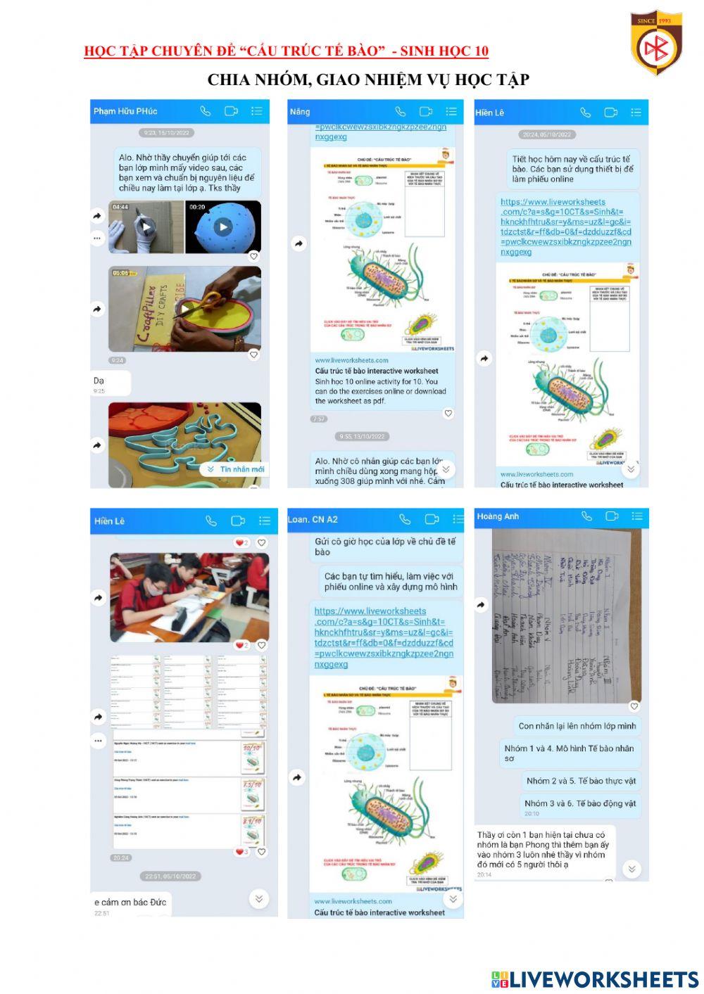 Chia nhóm. giao nhiệm vụ