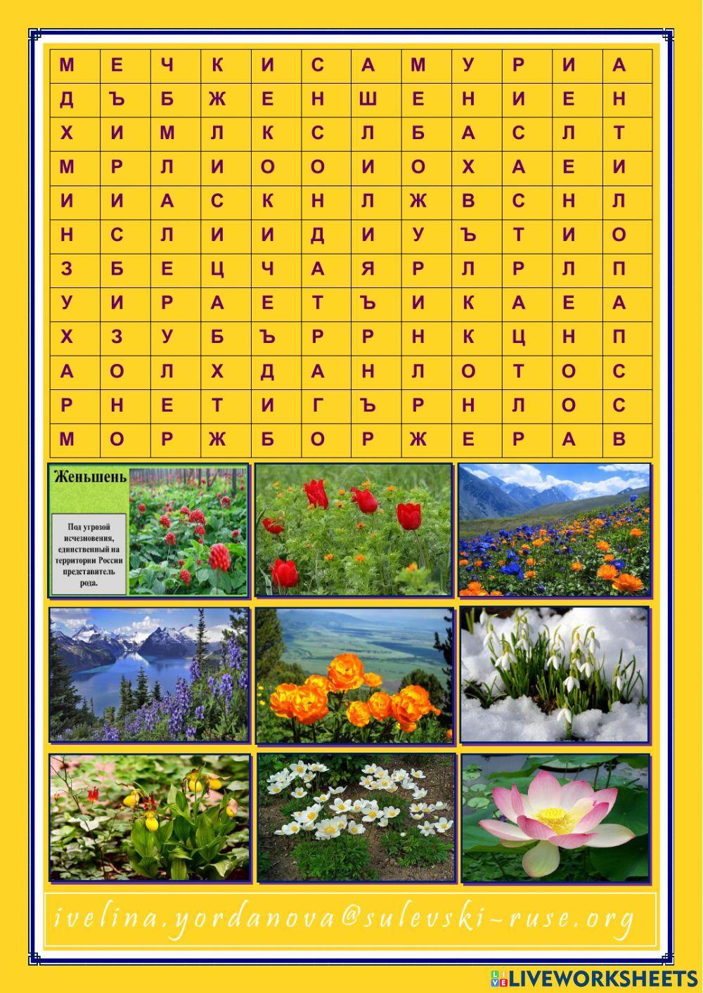 Страни в Източна Европа