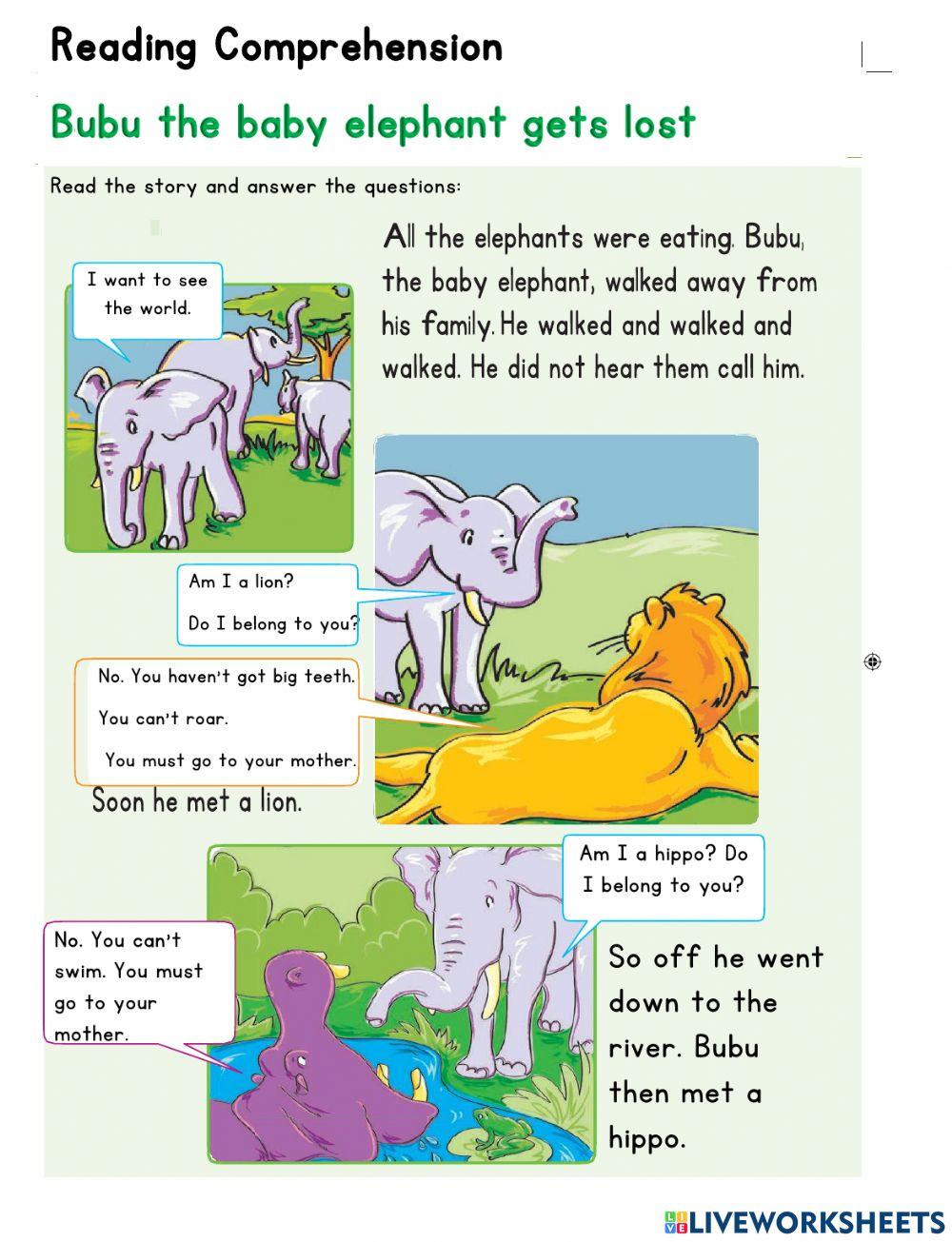 Reading Comprehensions