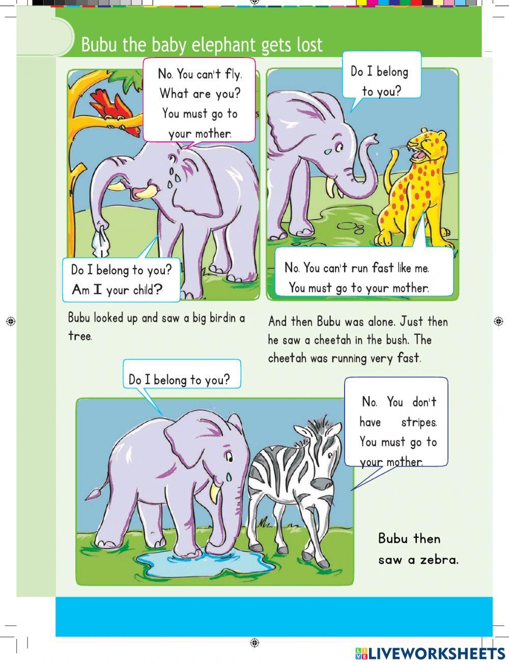 Reading Comprehensions