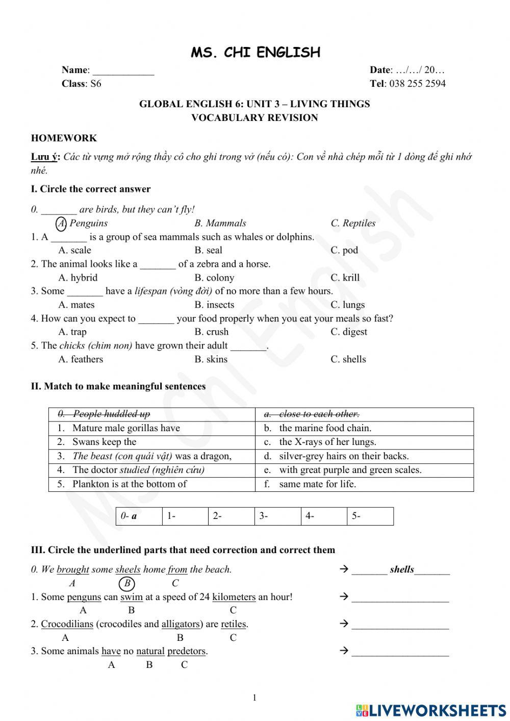 Foreign Teacher-S6-WEEK 10-U3-VOCAB REVISION