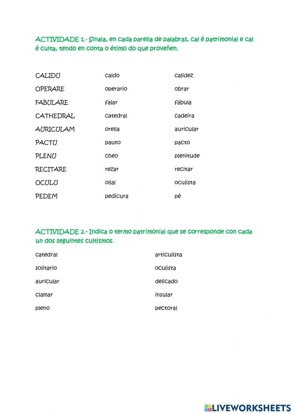 Orixe do léxico galego