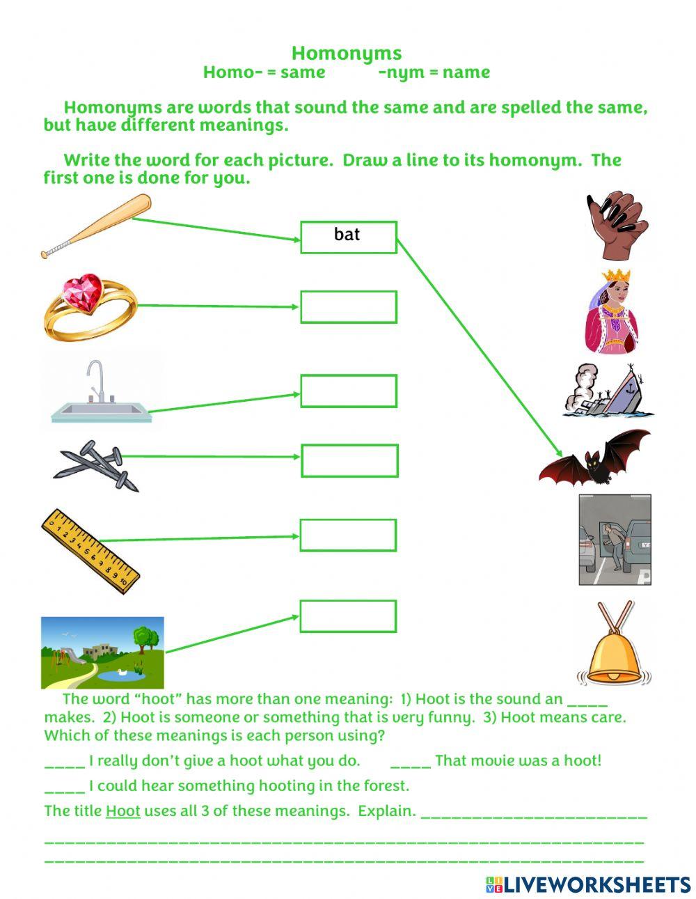 Hoot Homonyms 2179179 | Ginger Jantz | Live Worksheets