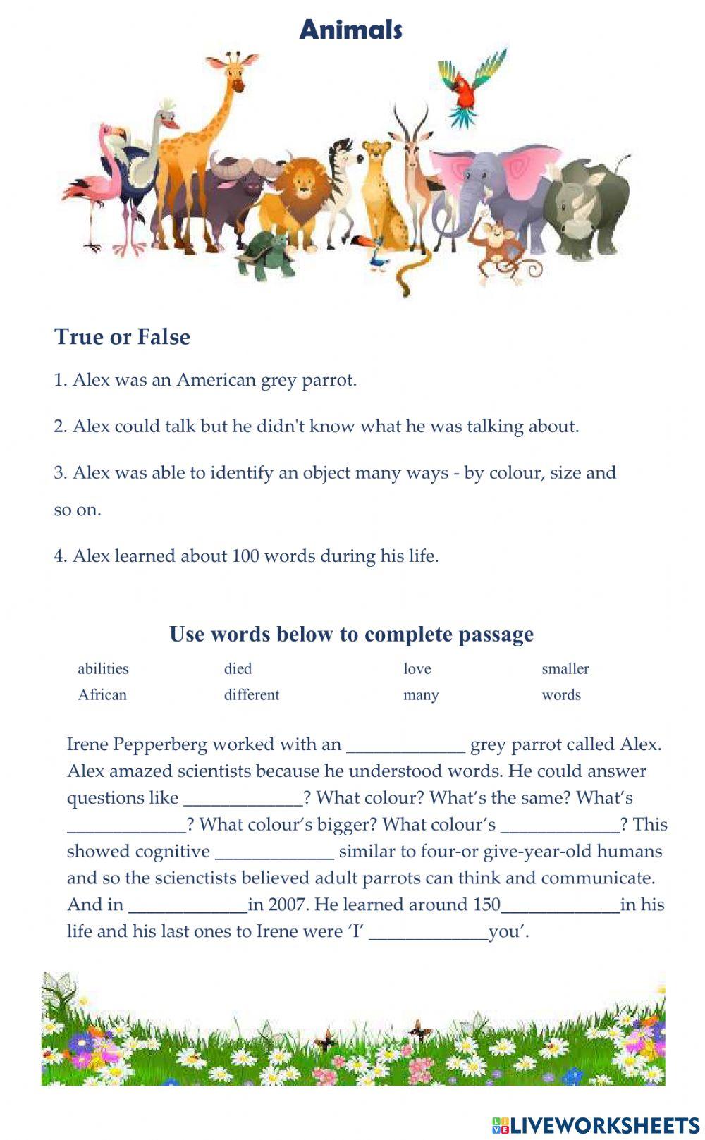 Video 5 - Alex the Parrot