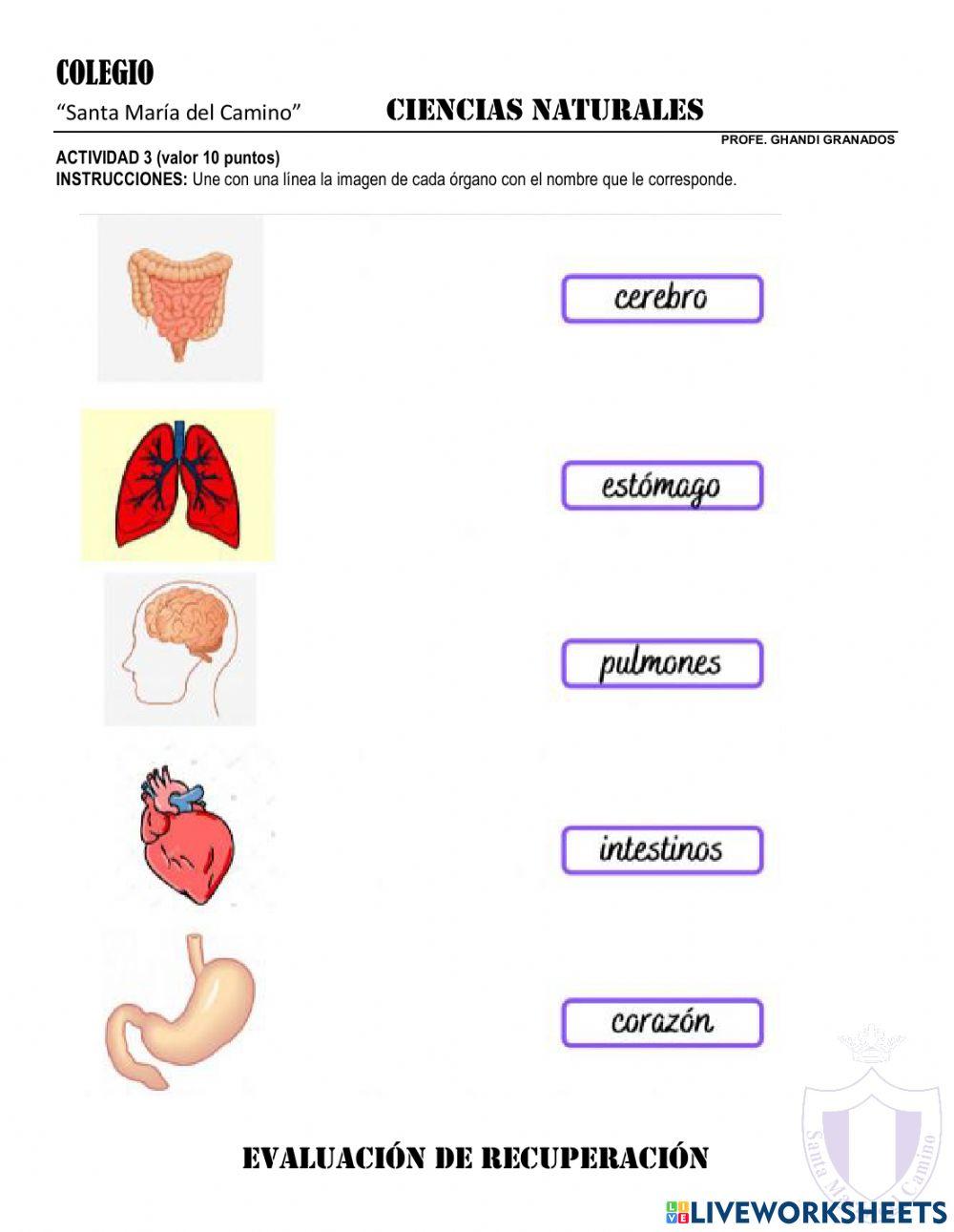 Conocimiento general