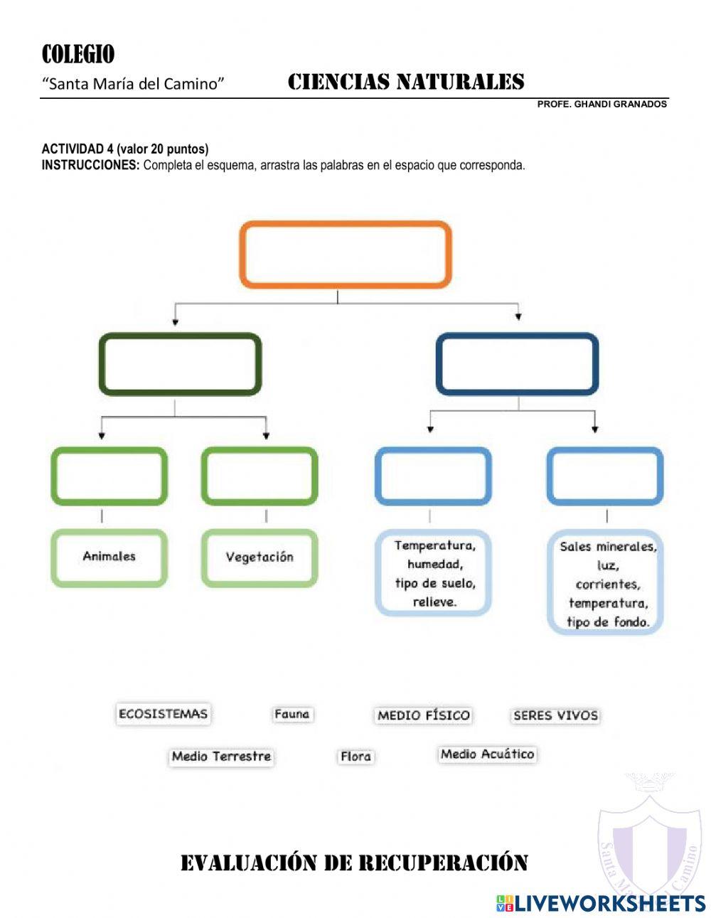 Conocimiento general