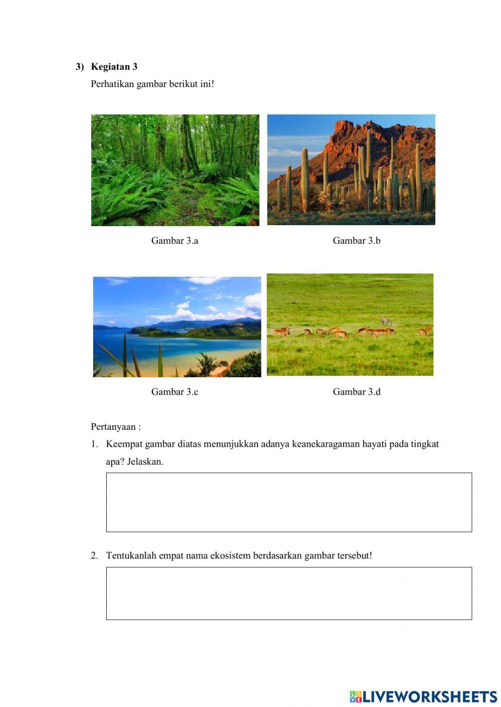 Tingkat keanekaragaman hayati