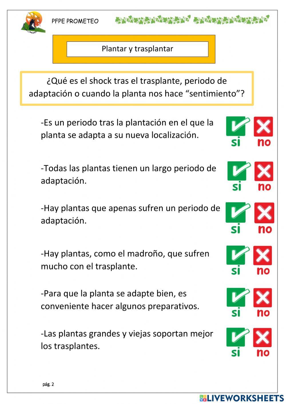 Plantar y trasplantar