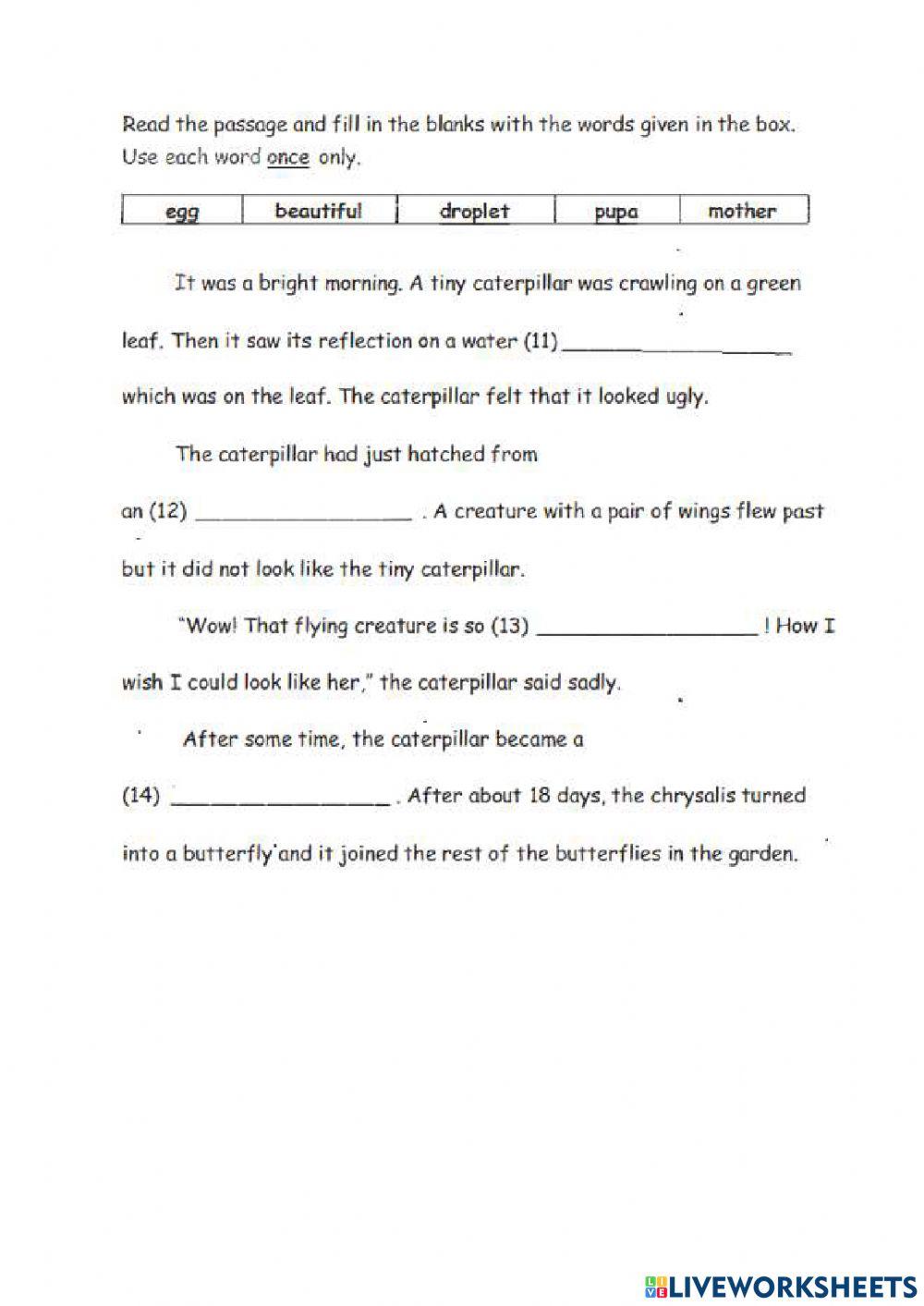 English Assessment 1