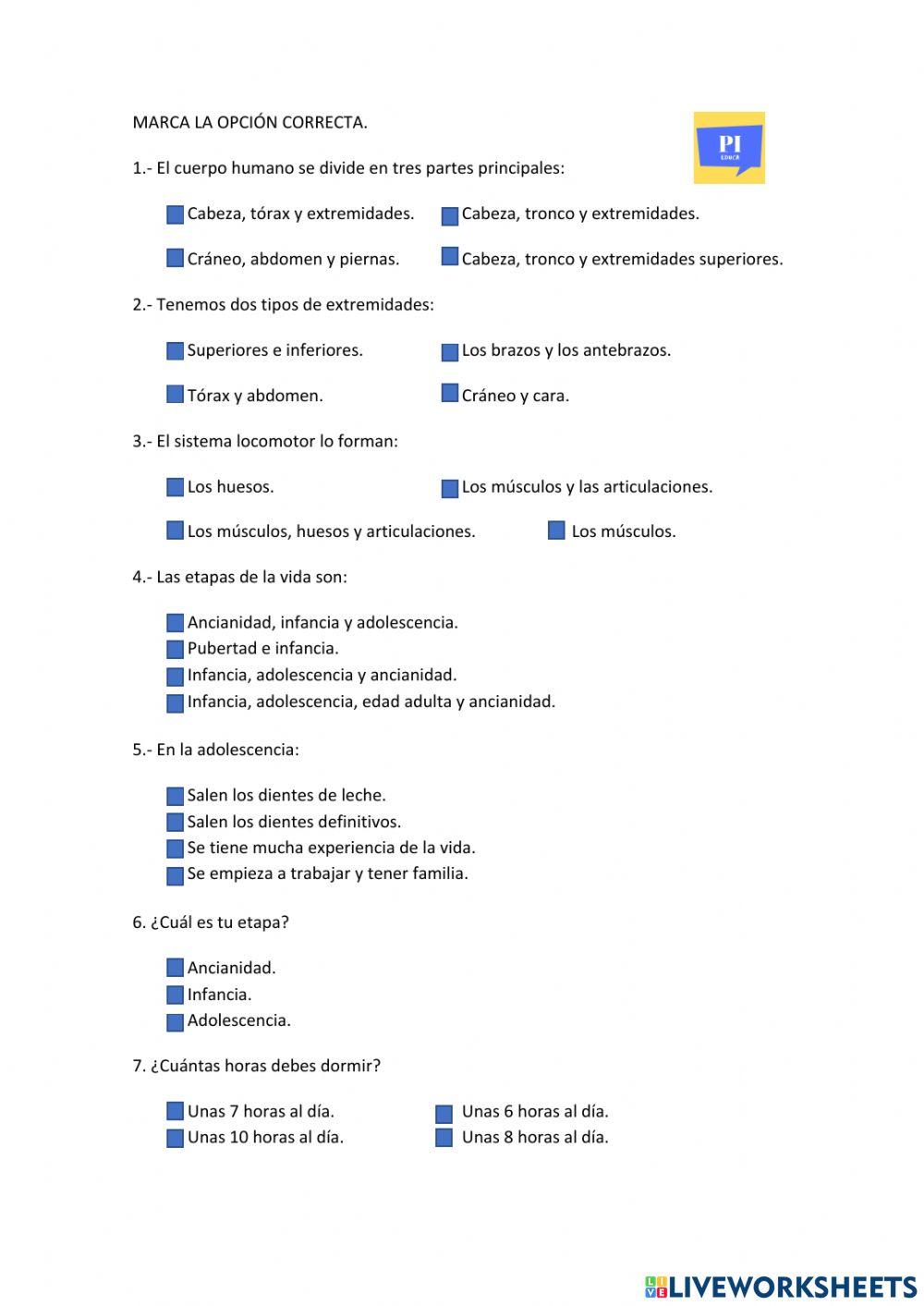 El cuerpo humano y las etapas.