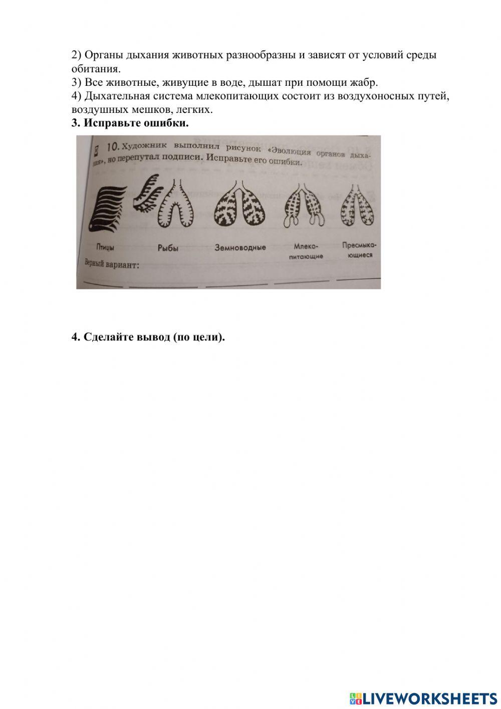 Лабораторные работы