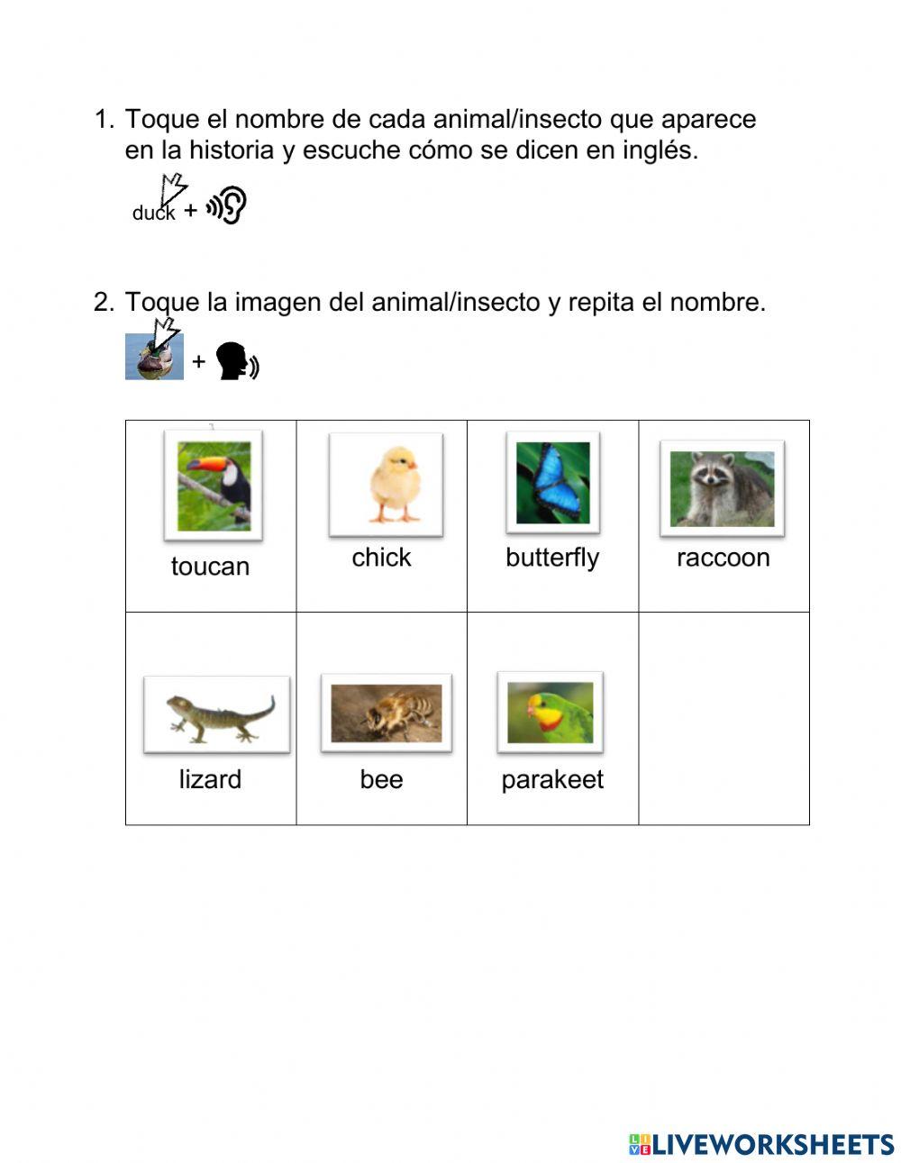 Mapache story vocabulary