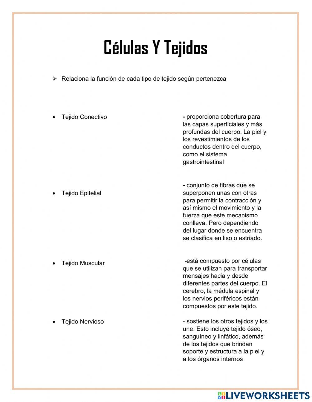 Células Y Tejidos