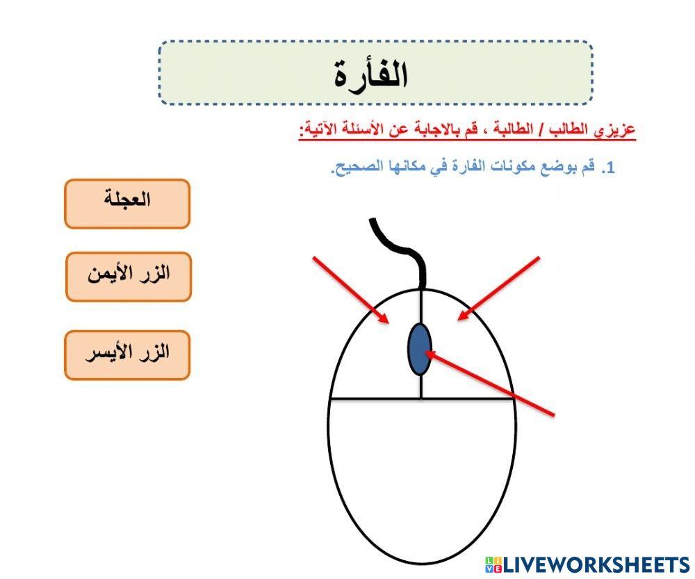 مكونات الفأرة