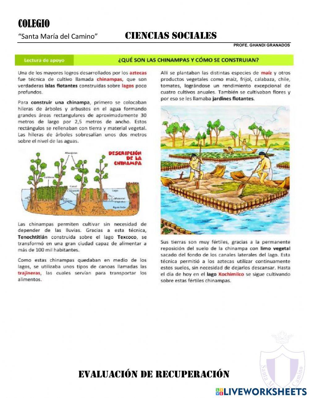 Evaluación de recuperación