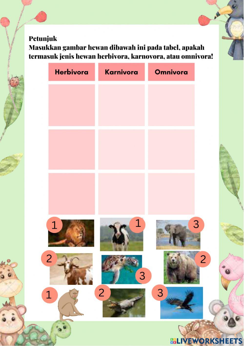 Penggolongan Hewan Berdasarkan Jenis Makanannya