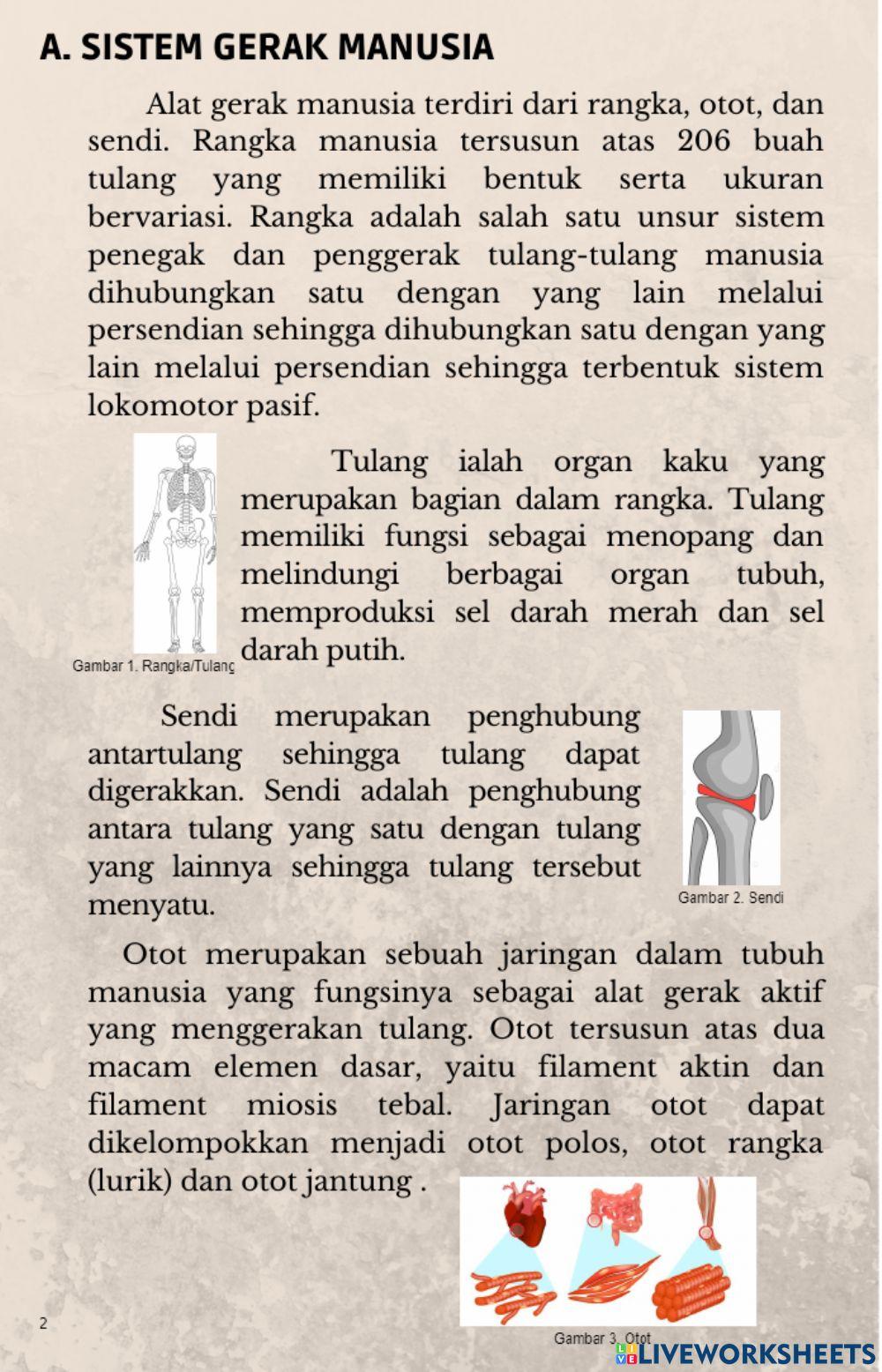 E-book & game edukasi