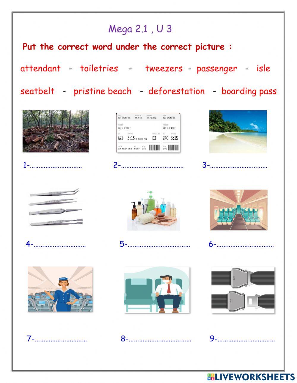 Mega2.1, U3 , Drag and drop the correct word under the suitable picture