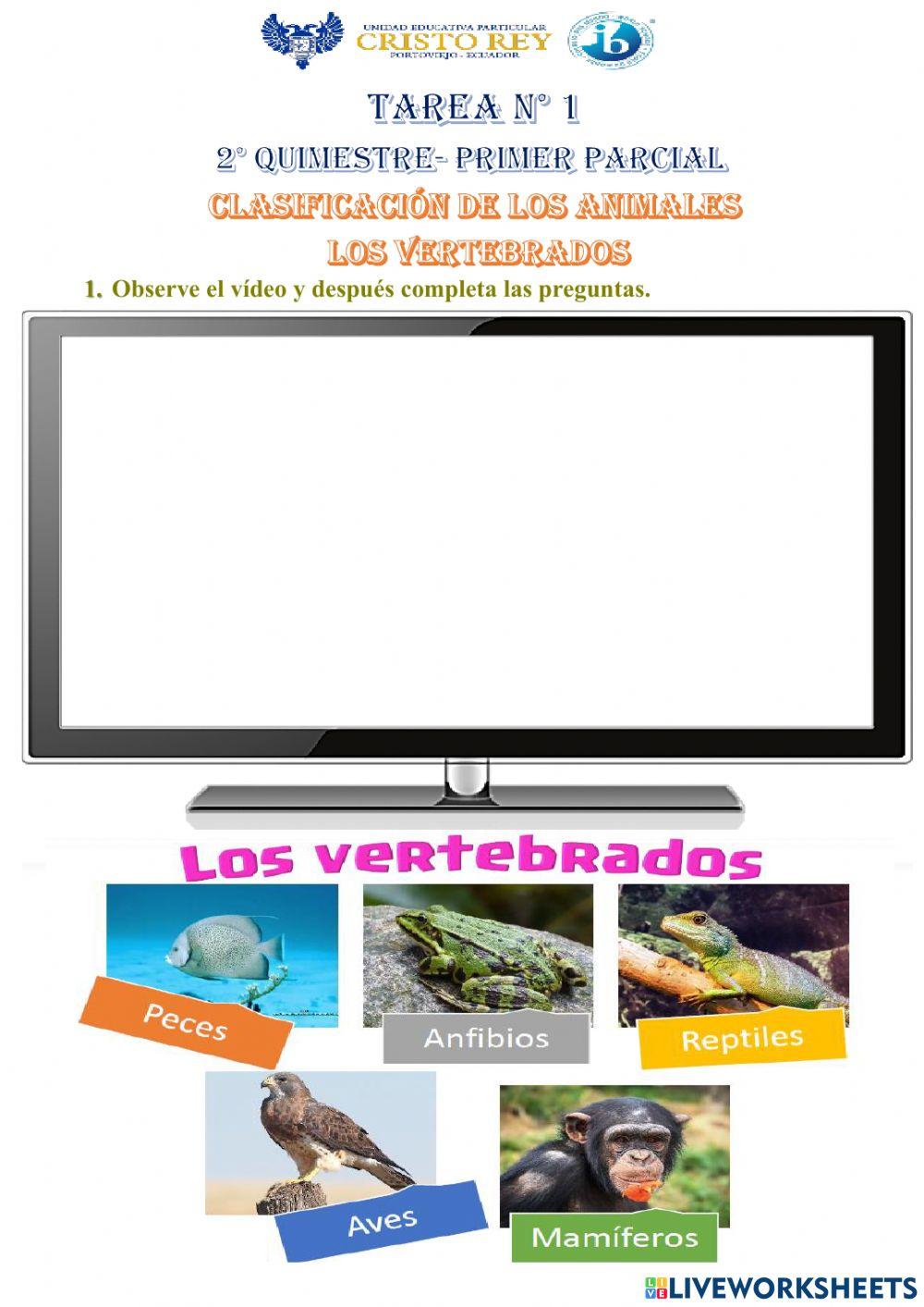 Animales vertebrados