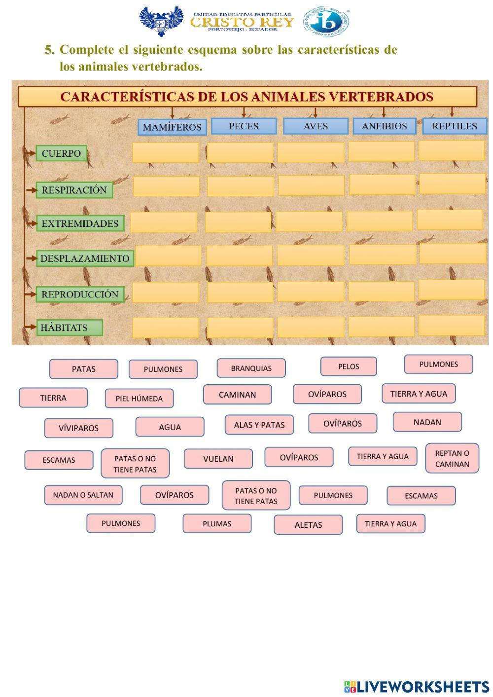 Animales vertebrados