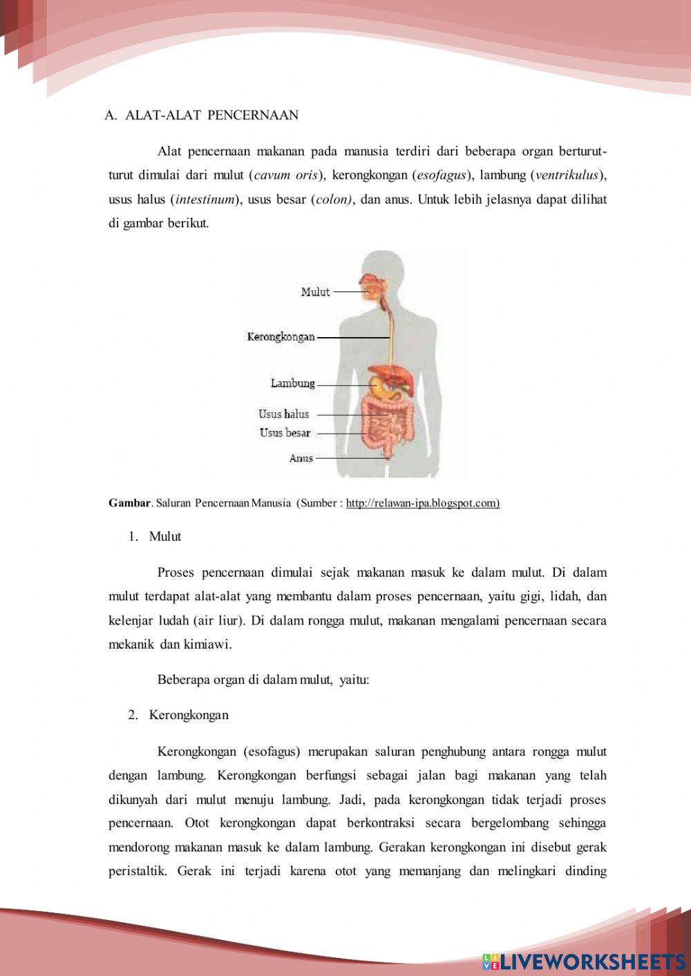 Modul Ajar Sistem Pencernaan Manusia Kelas Xi