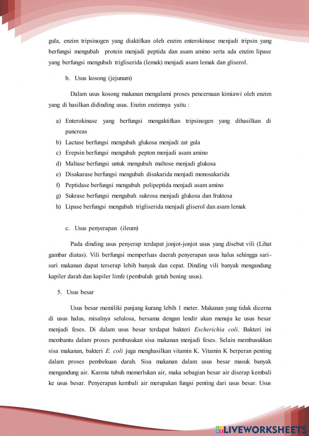 E lkpd sistem pencernaan manusia kelas xi online exercise for live