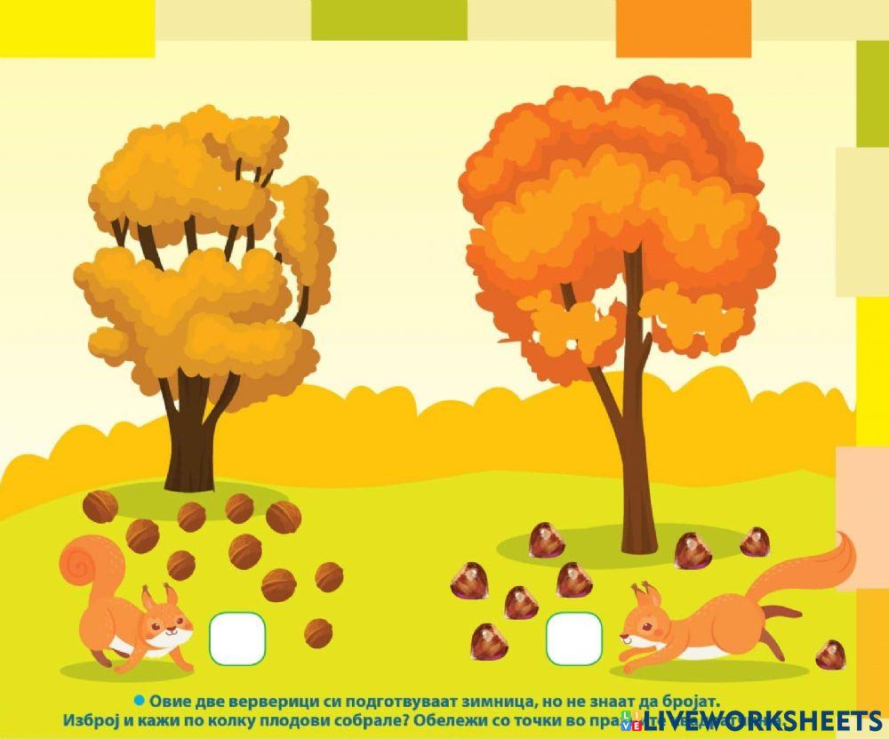 Броење (Во соработка со Росица)