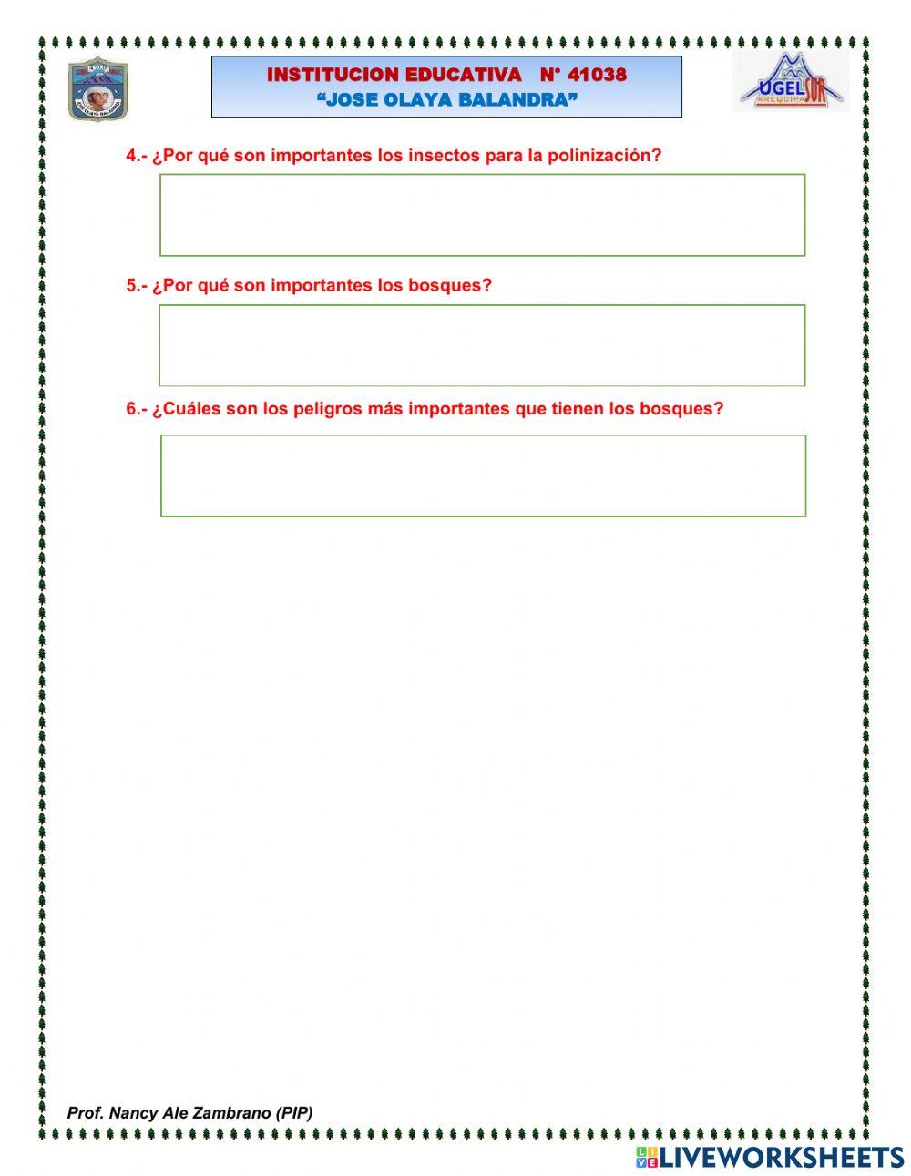 La planta y sus partes