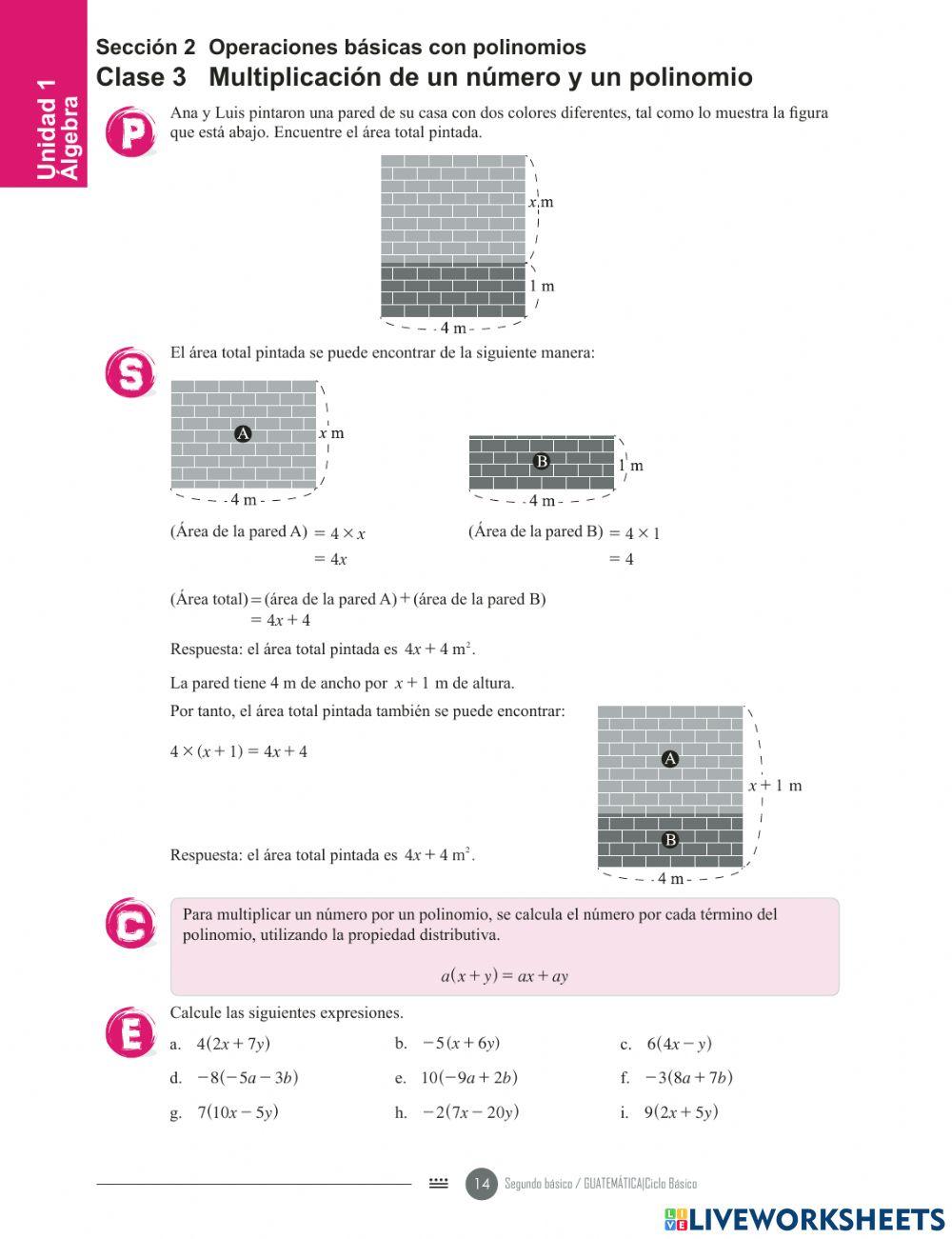 Entero por polinomio