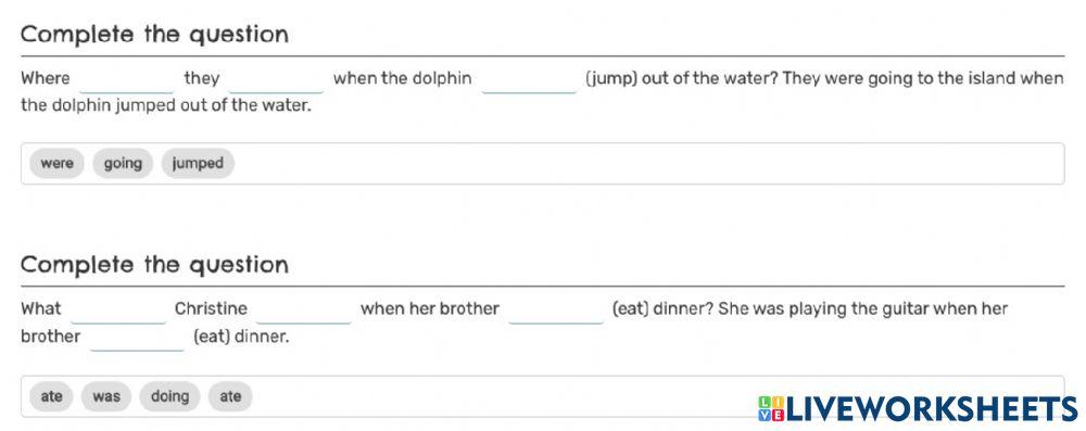 Past simple and continuous questions