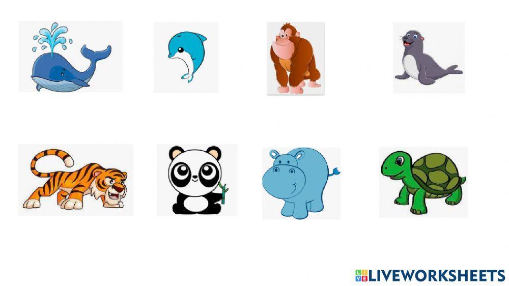 All about us Unit 1: Animals