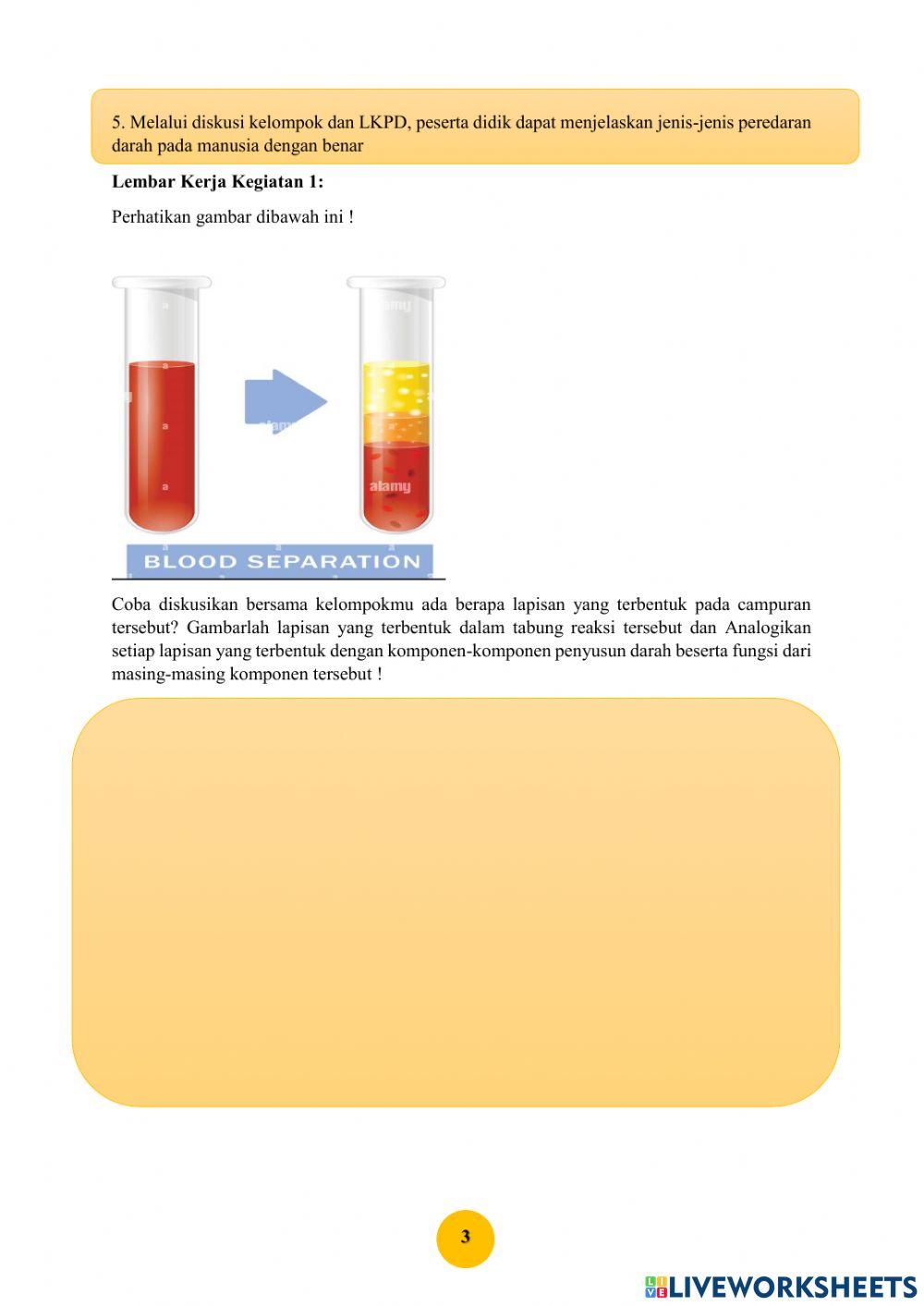 Sistem Peredaran Darah