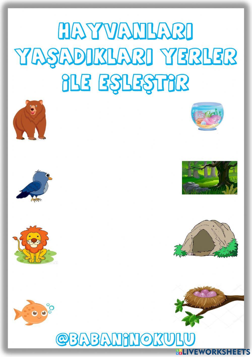 HAYVANLARI KORUMA GÜNÜ HAYVANLARI KORUMA GÜNÜ