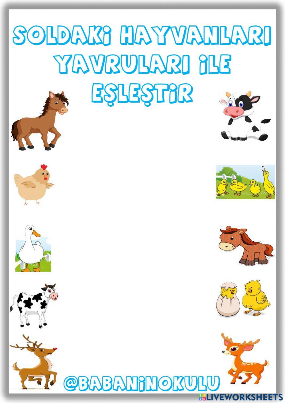 HAYVANLARI KORUMA GÜNÜ HAYVANLARI KORUMA GÜNÜ