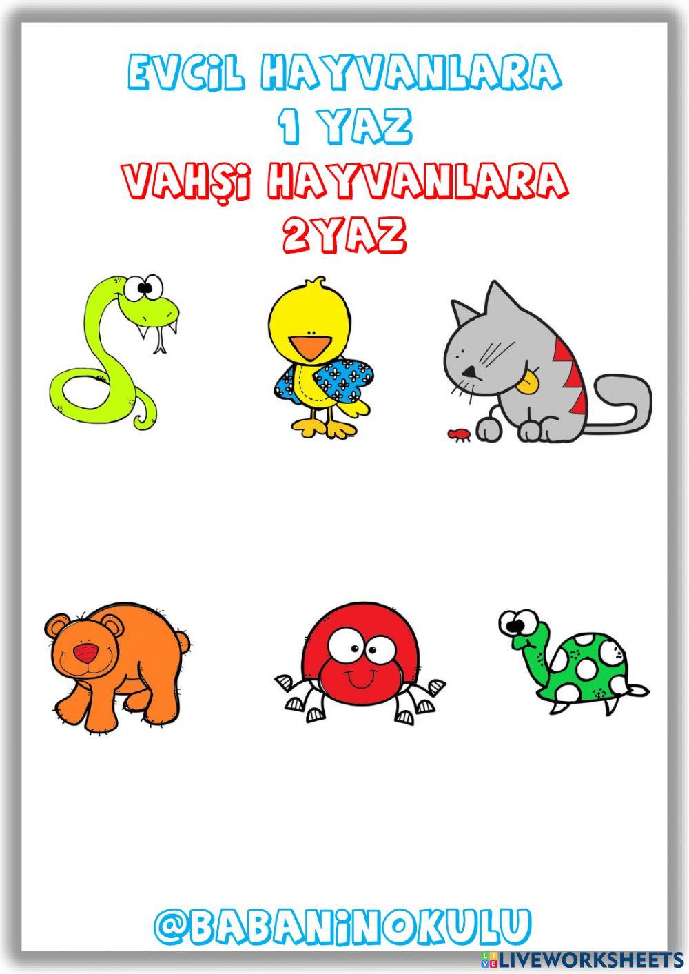 HAYVANLARI KORUMA GÜNÜ HAYVANLARI KORUMA GÜNÜ