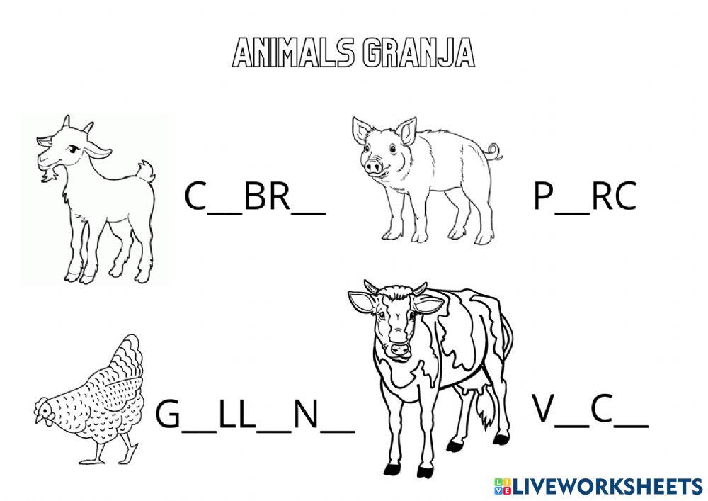Animals Granja