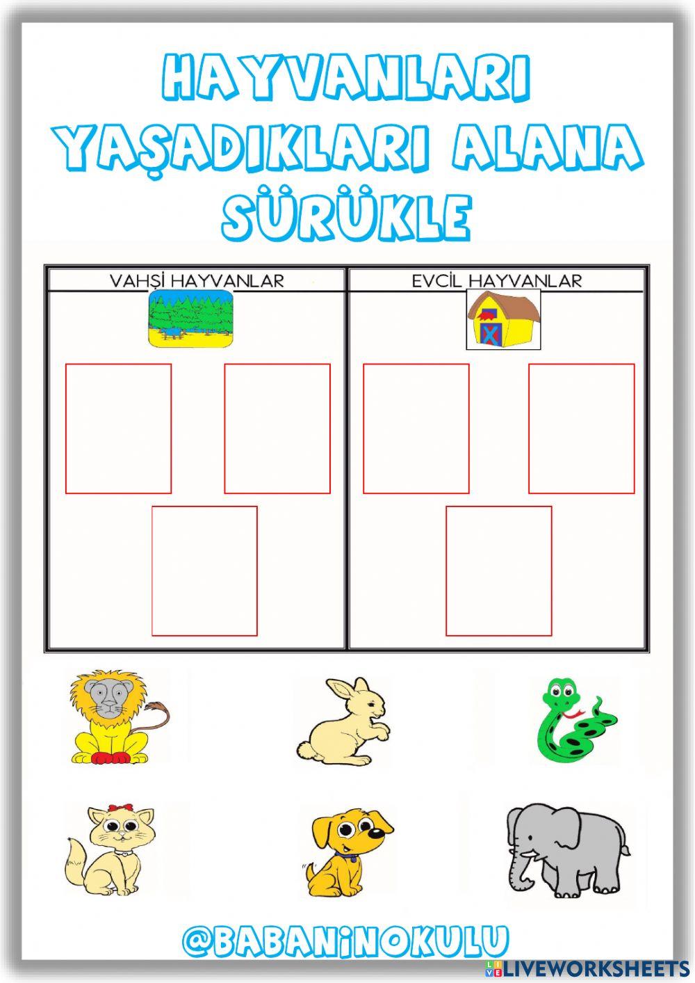 03-07 EKİM GENEL TEKRAR CUMARTESİ