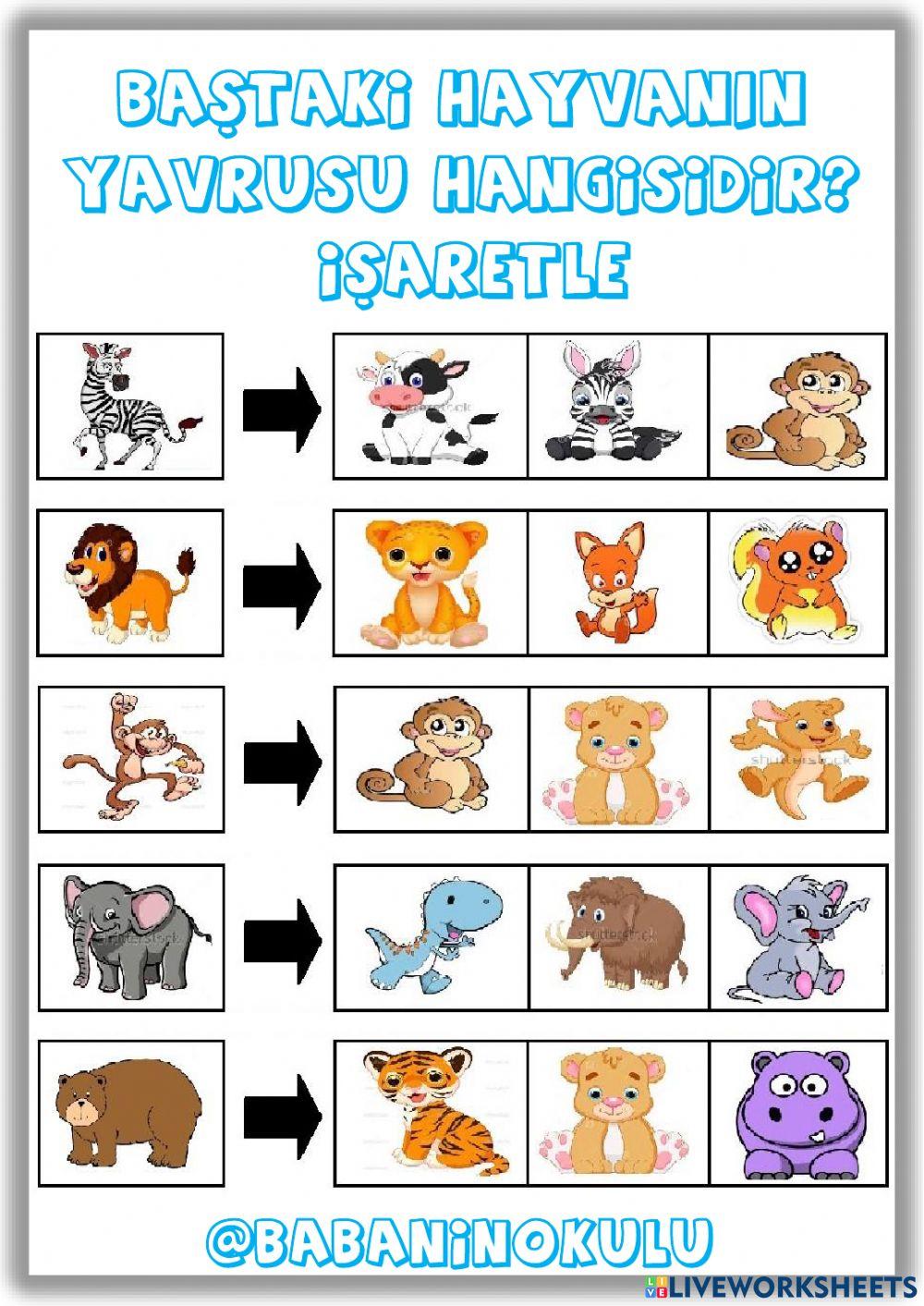 03-07 EKİM GENEL TEKRAR CUMARTESİ