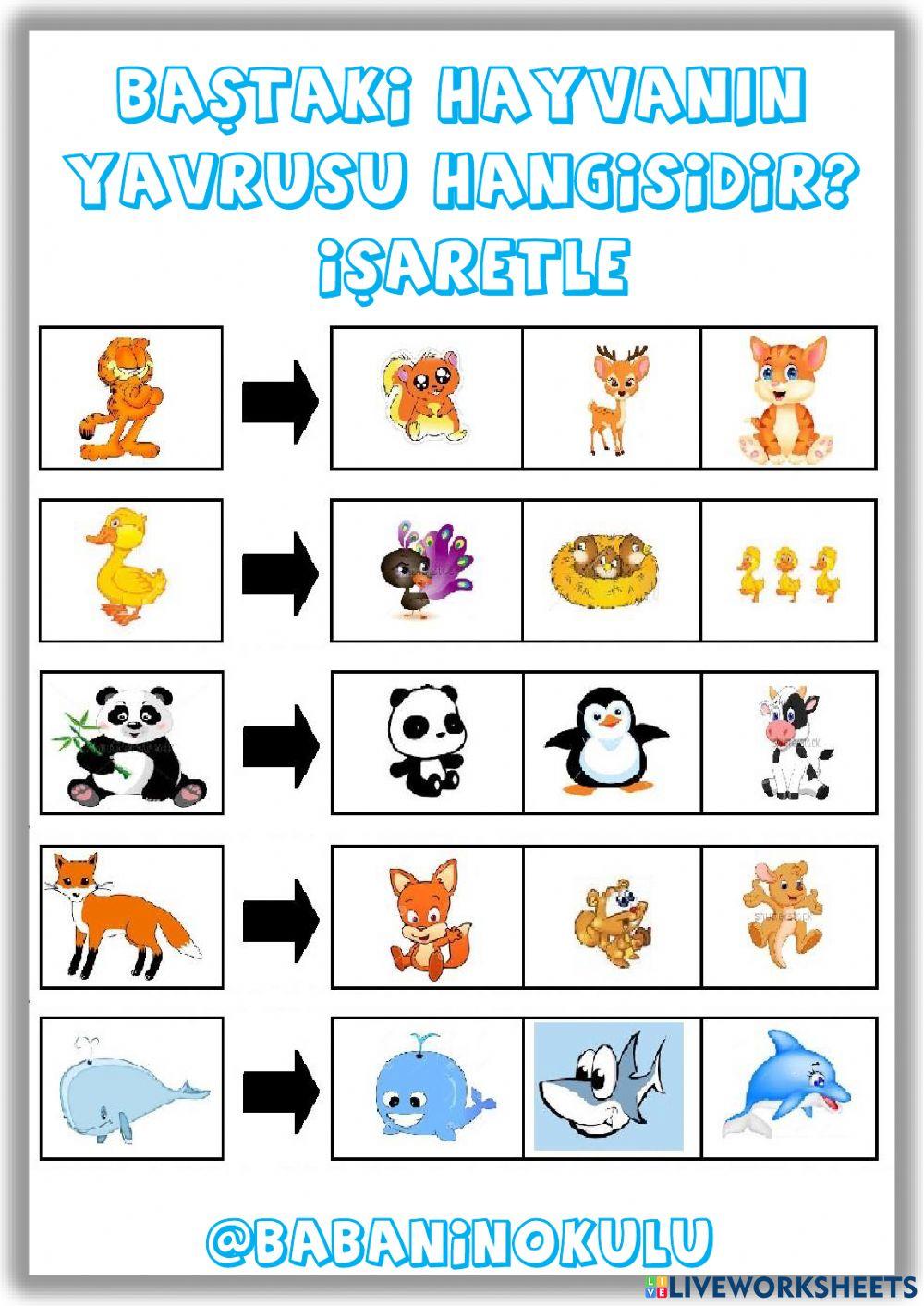 03-07 EKİM GENEL TEKRAR CUMARTESİ